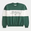 Baggy Cinch Charleston Graphic Crew Sweatshirt