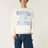 Baggy Denim Painter Shorts