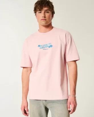 Boxy Heavyweight Hawaii Graphic Tee
