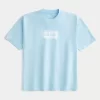 Boxy Heavyweight Oasis Graphic Tee