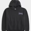 Boxy University of Washington Huskies Graphic Hoodie