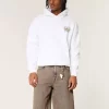 Brown Overdye Super Baggy Denim Shorts