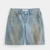 Low-Rise Tinted Mud Wash Baggy Jort