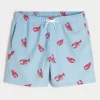 Mid-Thigh Seersucker Volley Swim Trunks