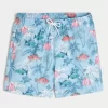 Mid-Thigh Volley Swim Trunks